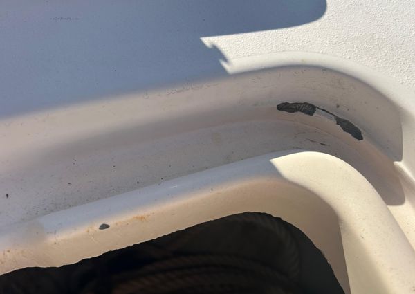 Grady-White Express 330 image