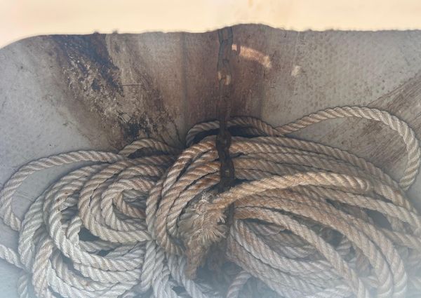 Grady-White Express 330 image