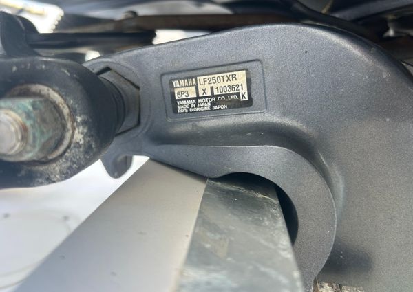 Grady-White Express 330 image