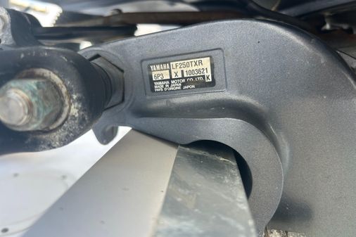 Grady-White Express 330 image