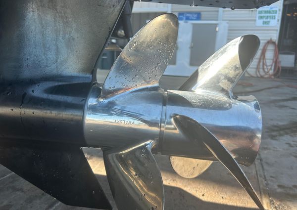 Dargel Kat 250 HDX image