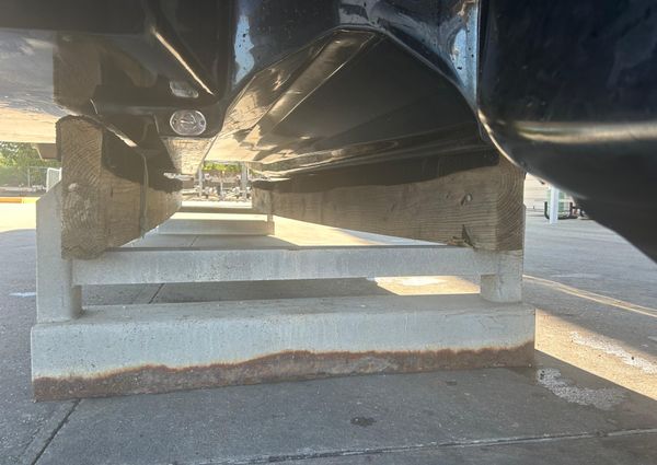 Dargel Kat 250 HDX image