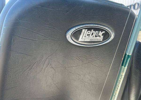 Dargel Kat 250 HDX image