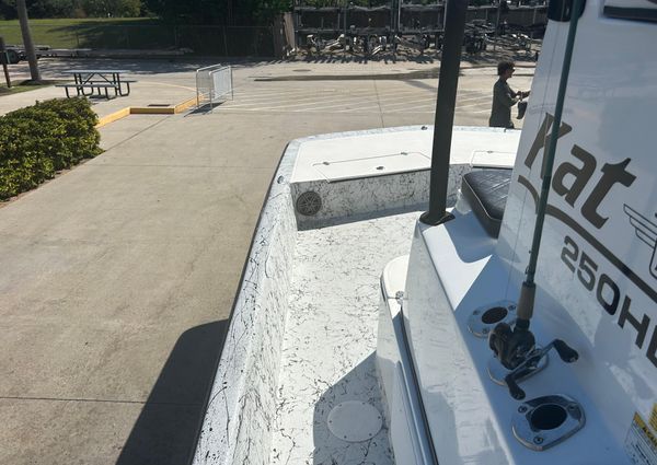 Dargel Kat 250 HDX image