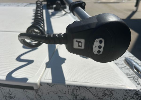 Dargel Kat 250 HDX image