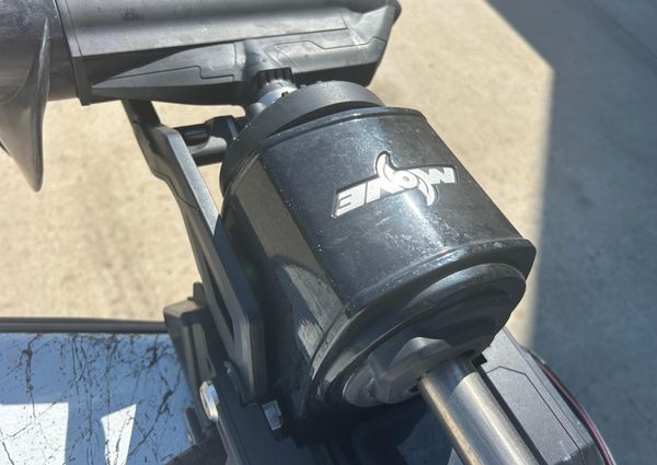 Dargel Kat 250 HDX image