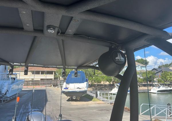 Dargel Kat 250 HDX image