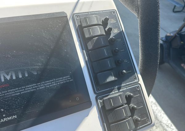 Dargel Kat 250 HDX image