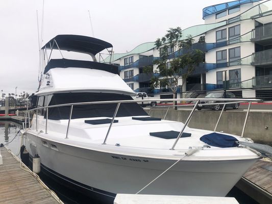 Trojan 32 Sedan Flybridge - main image