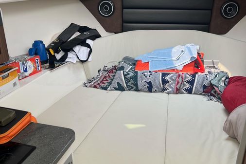 Boston-whaler 285-CONQUEST image