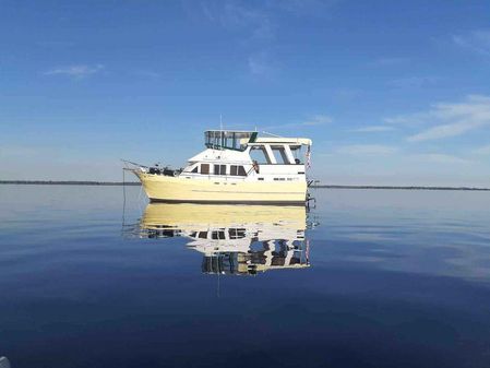 Marine Trader Sundeck 40 image