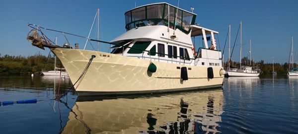 Marine Trader Sundeck 40 image