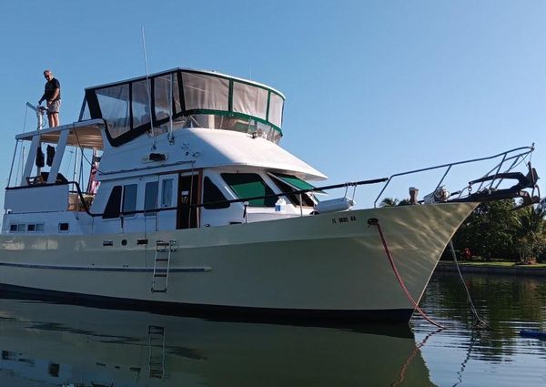 Marine Trader Sundeck 40 image