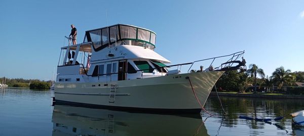 Marine Trader Sundeck 40 image