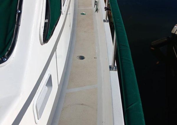 Marine Trader Sundeck 40 image