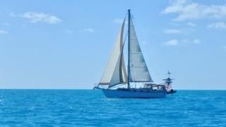 Island Packet 35