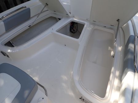 Robalo 206 Cayman image