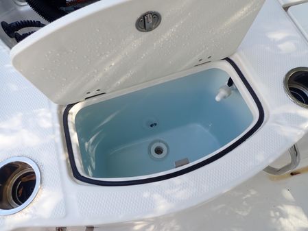 Robalo 206 Cayman image