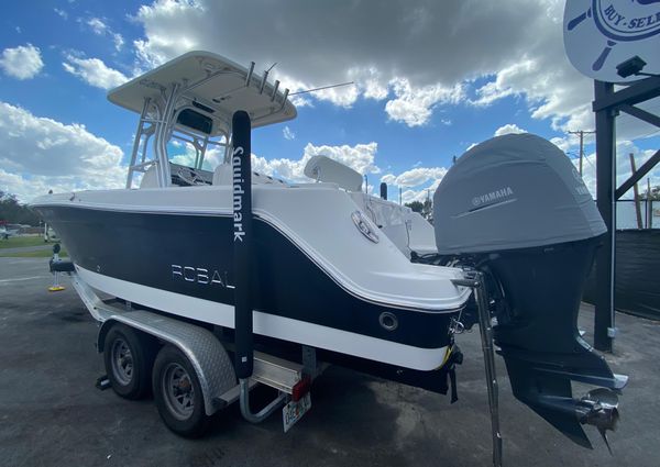 Robalo R260-CENTER-CONSOLE image