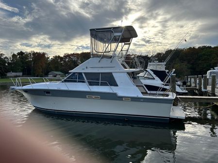 Silverton 34-CONVERTIBLE image