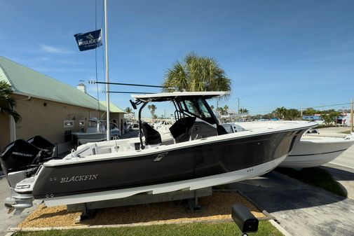 Blackfin 302 CC image