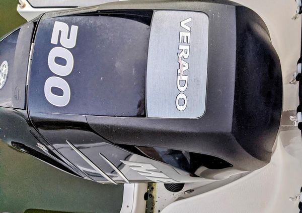 Sea Ray 220 Sundeck Outboard image