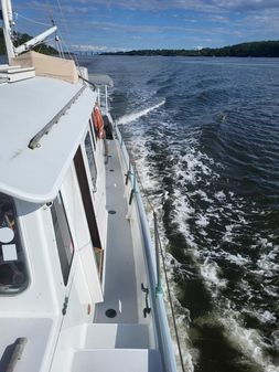 Covey Island Cruiser image