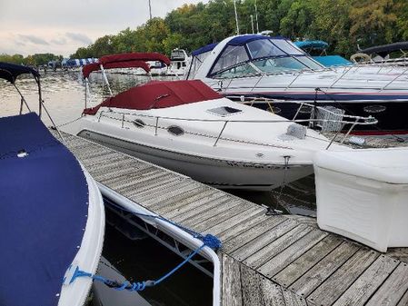 Sea-ray 250-SUNDANCER image