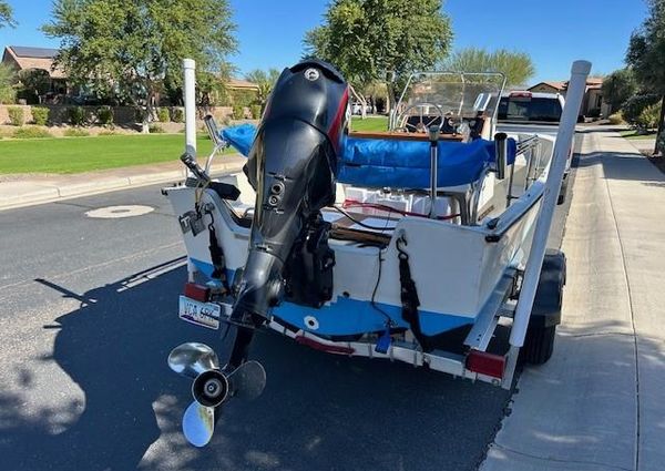 Boston-whaler 17-MONTAUK image