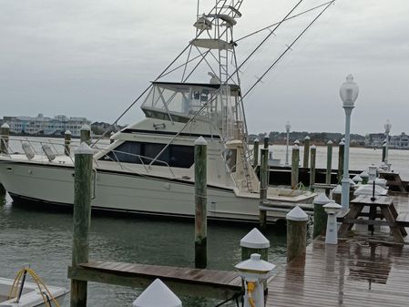 Hatteras 48 Convertible image