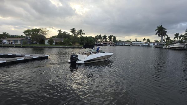 Sea Ray SDX 240 Outboard 