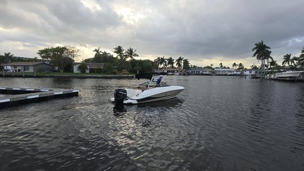 Sea Ray SDX 240 Outboard image