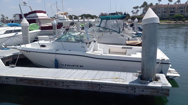 Seaswirl Striper 2600 Sport Cabin I/O image