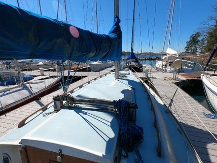 Ranger 33 image