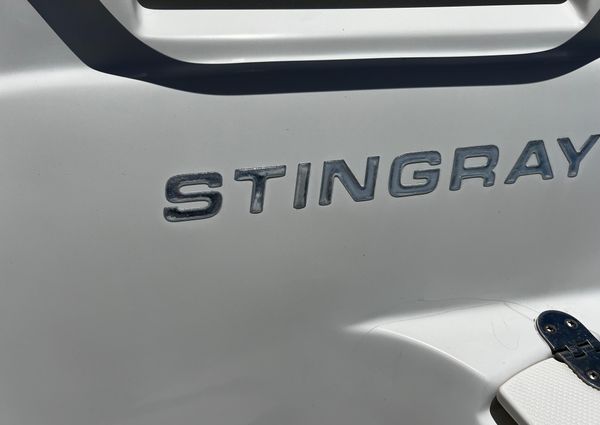 Stingray 220DR image