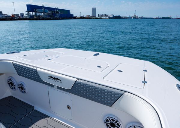 Invincible 37 Cat image