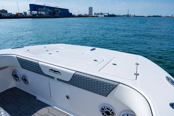 Invincible 37 Catamaran image