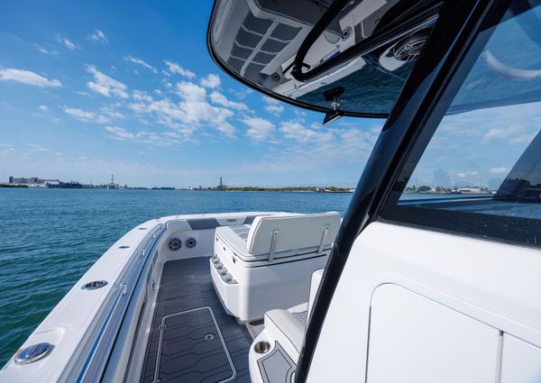 Invincible 37 Cat image