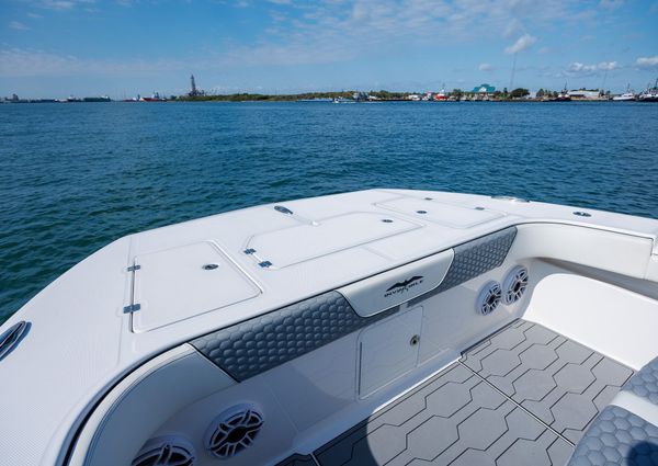 Invincible 37 Cat image