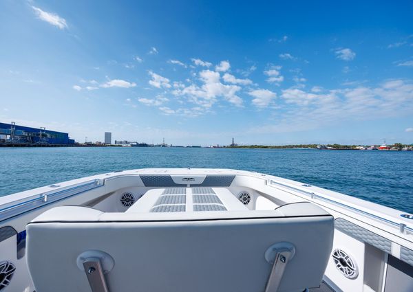 Invincible 37 Cat image