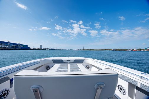 Invincible 37 Cat image