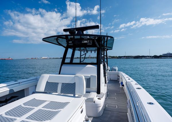 Invincible 37 Cat image