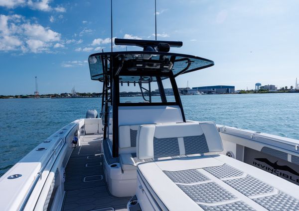 Invincible 37 Cat image