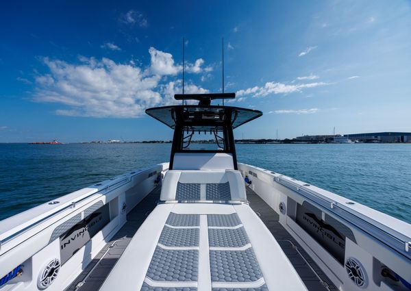 Invincible 37 Cat image