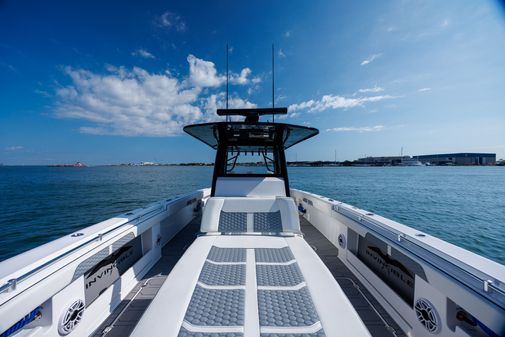 Invincible 37 Cat image