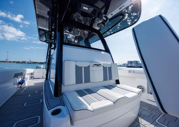 Invincible 37 Cat image