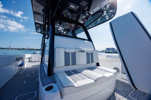 Invincible 37 Cat image