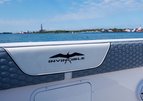 Invincible 37 Cat image