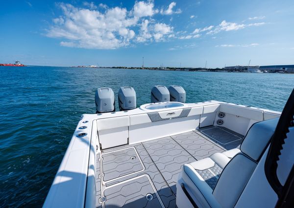 Invincible 37 Cat image