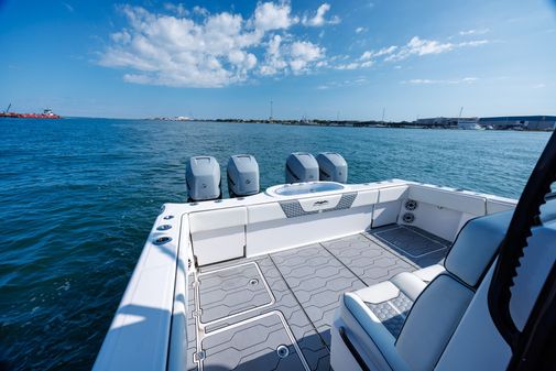 Invincible 37 Cat image